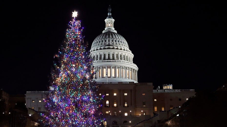 rockeando-alrededor-del-arbol-de-navidad-del-congreso